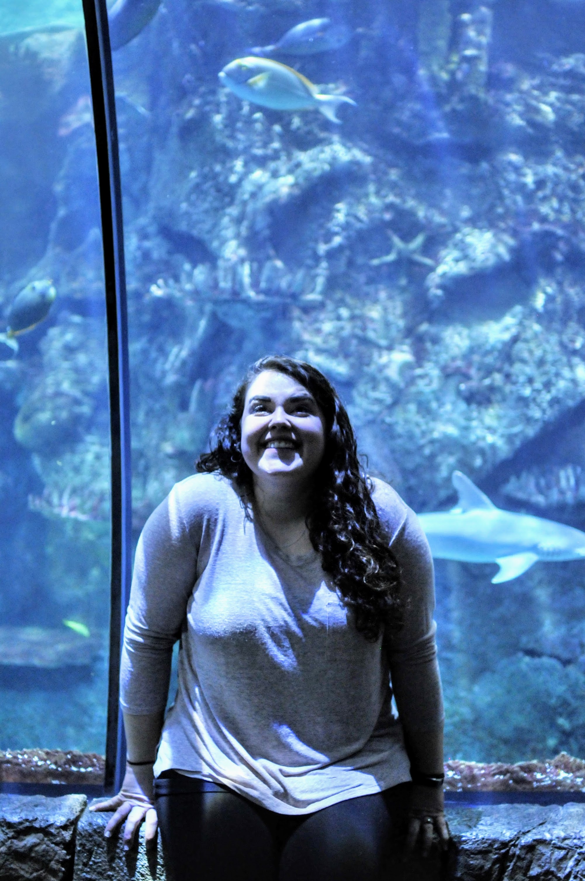 Kelly Blick in the 180-degree-view tunnel inside the aquarium at Mandalay Bay.  A shark swims by in the background.  