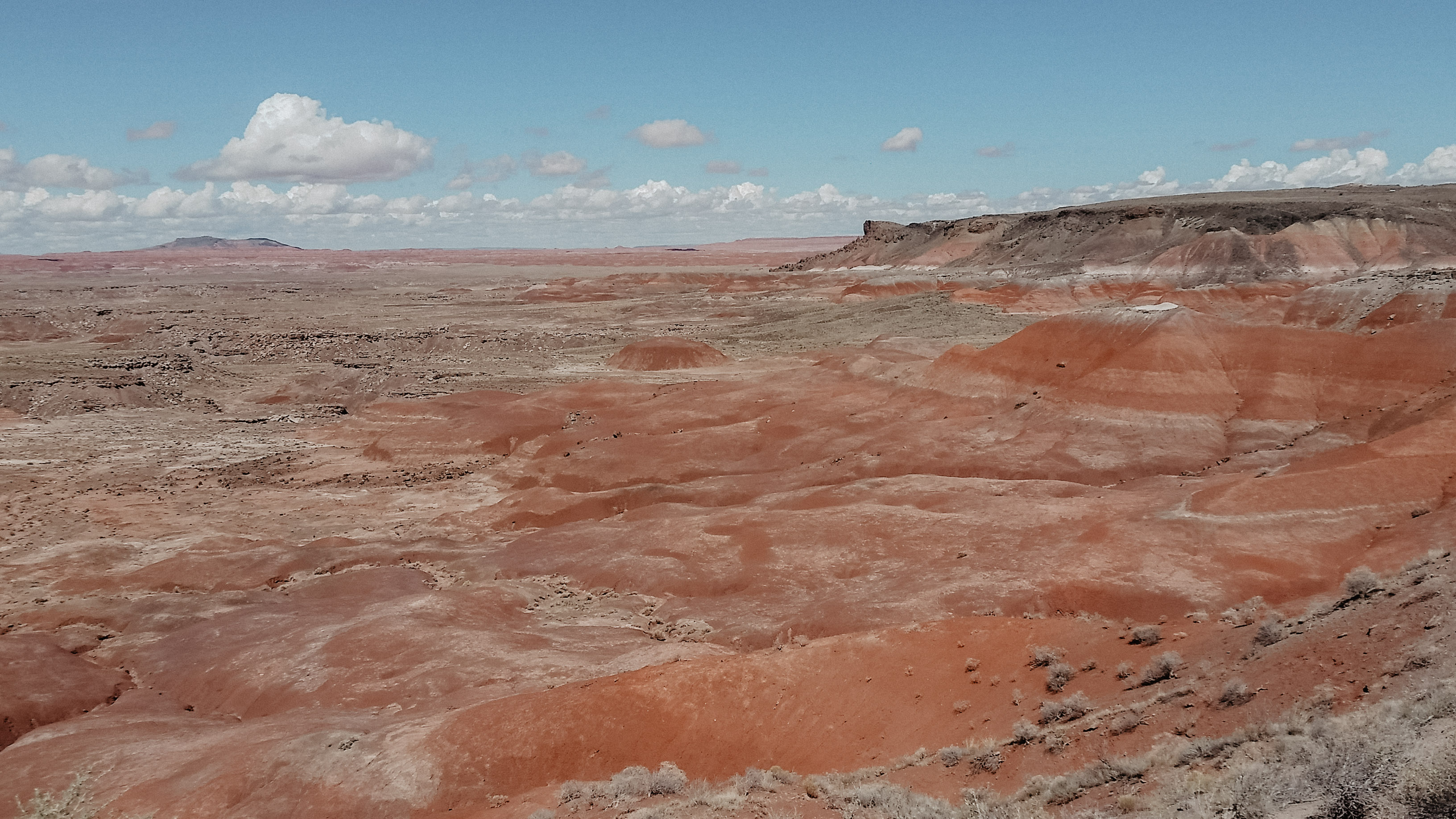 Bright Red Colored sand as far as you can see.  There are stripes of darker and lighter red, but the entire ground is red.  The sky is bright blue and it is a clear day at this National Park on Route 66. 